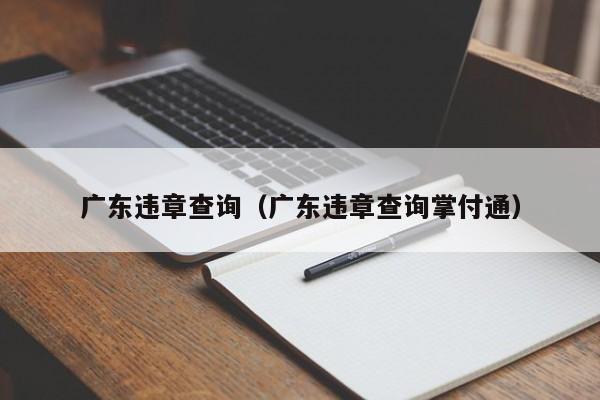 广东违章查询（广东违章查询掌付通）