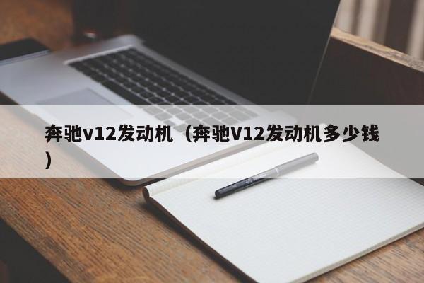 奔驰v12发动机（奔驰V12发动机多少钱）