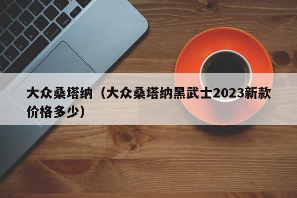 大众桑塔纳（大众桑塔纳黑武士2023新款价格多少）