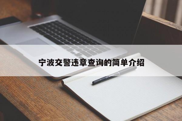 宁波交警违章查询的简单介绍