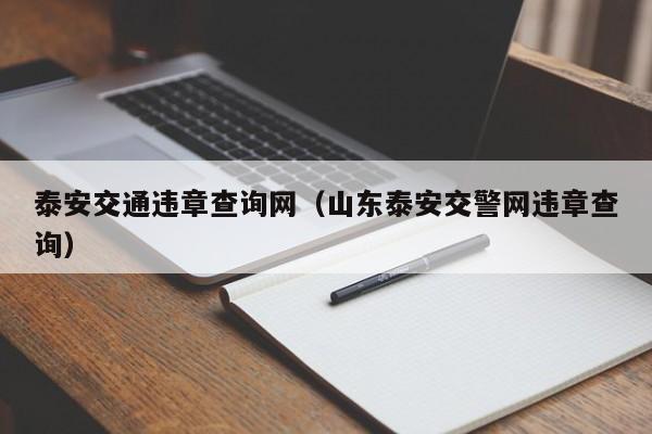 泰安交通违章查询网（山东泰安交警网违章查询）