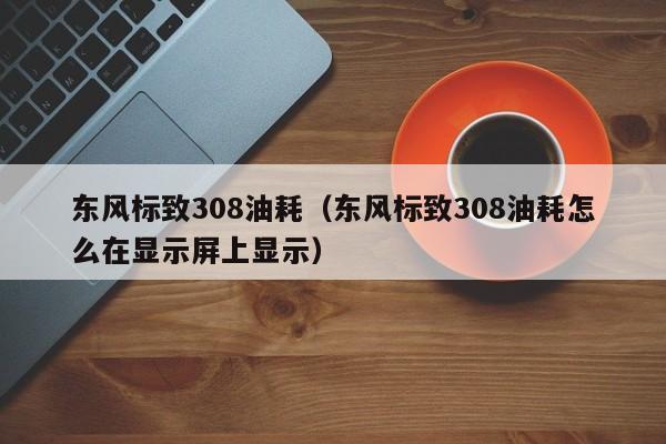 东风标致308油耗（东风标致308油耗怎么在显示屏上显示）