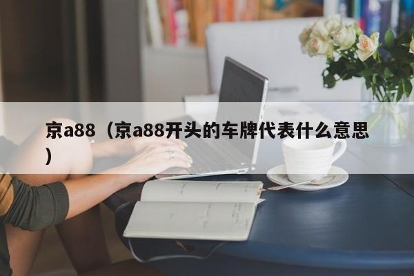 京a88（京a88开头的车牌代表什么意思）