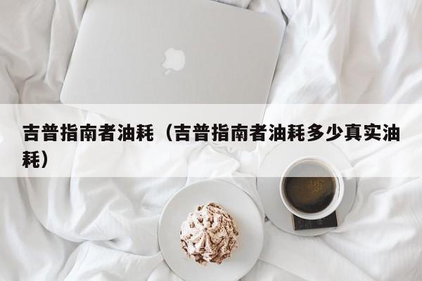 吉普指南者油耗（吉普指南者油耗多少真实油耗）