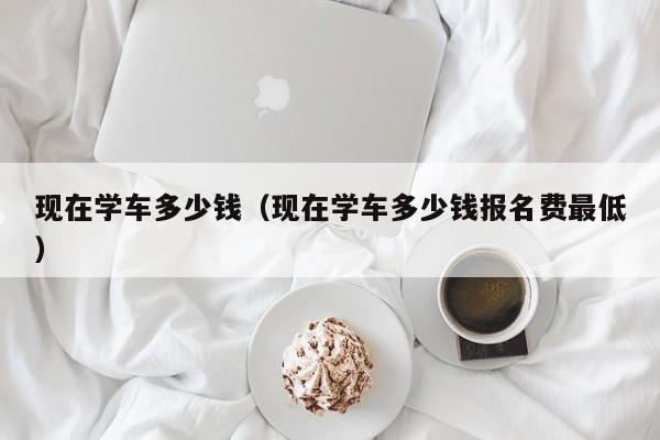 现在学车多少钱（现在学车多少钱报名费最低）