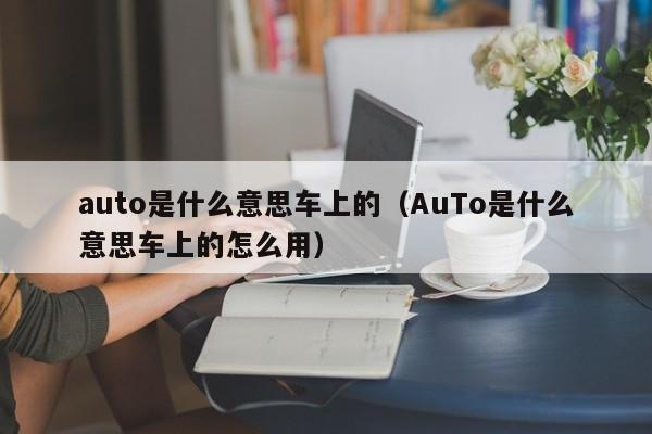 auto是什么意思车上的（AuTo是什么意思车上的怎么用）