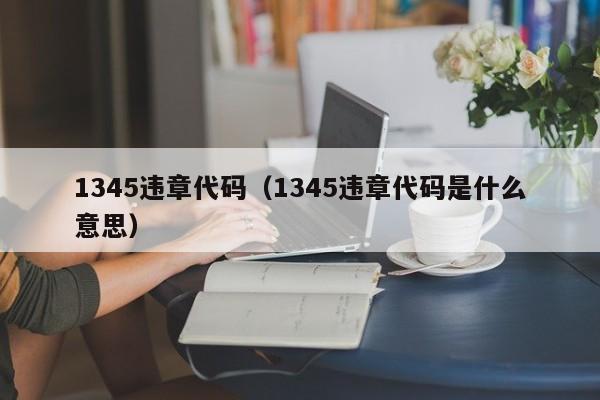 1345违章代码（1345违章代码是什么意思）