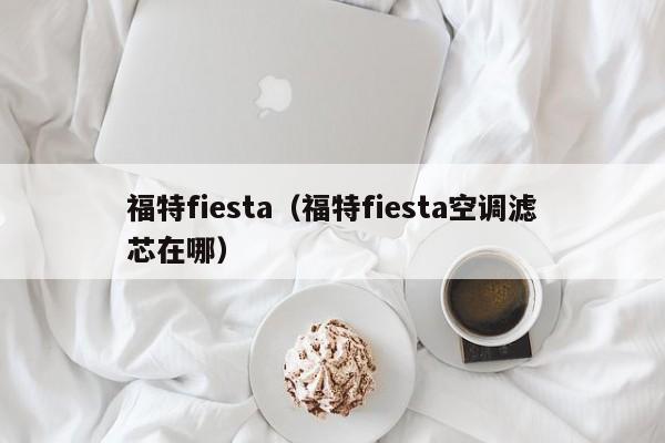 福特fiesta（福特fiesta空调滤芯在哪）