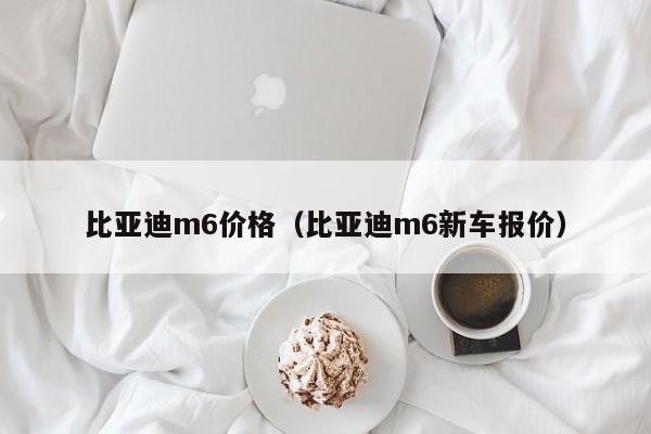 比亚迪m6价格（比亚迪m6新车报价）