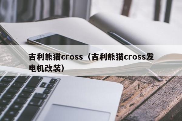 吉利熊猫cross（吉利熊猫cross发电机改装）