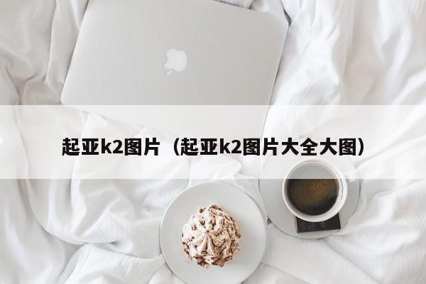 起亚k2图片（起亚k2图片大全大图）