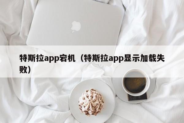 特斯拉app宕机（特斯拉app显示加载失败）