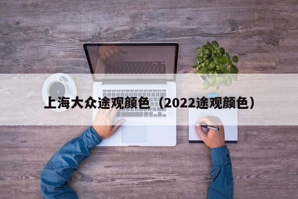 上海大众途观颜色（2022途观颜色）