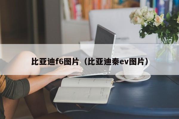 比亚迪f6图片（比亚迪秦ev图片）