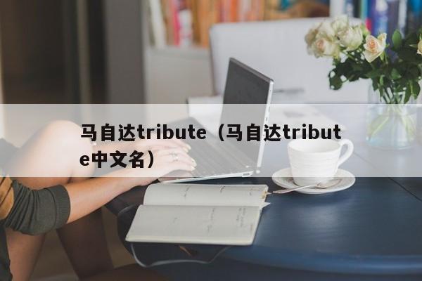 马自达tribute（马自达tribute中文名）