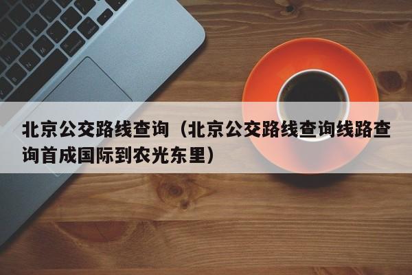 北京公交路线查询（北京公交路线查询线路查询首成国际到农光东里）