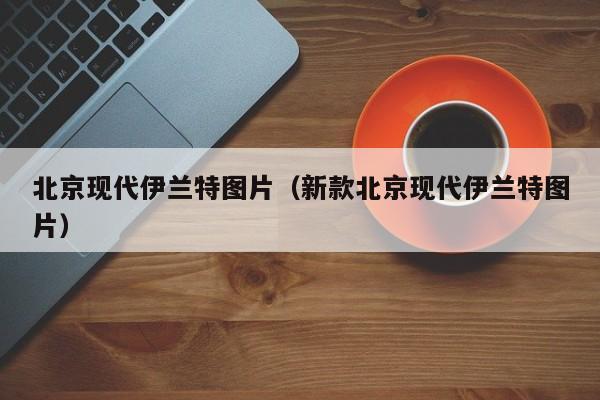 北京现代伊兰特图片（新款北京现代伊兰特图片）