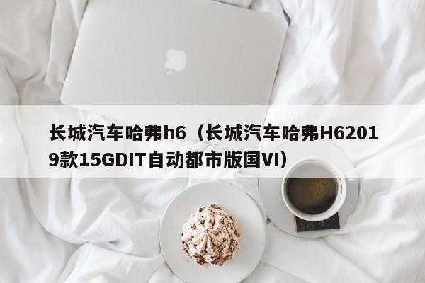 长城汽车哈弗h6（长城汽车哈弗H62019款15GDIT自动都市版国VI）