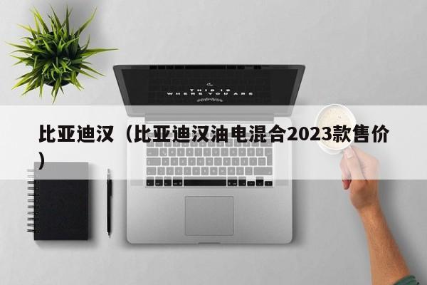 比亚迪汉（比亚迪汉油电混合2023款售价）