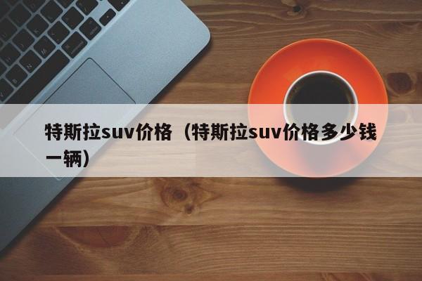 特斯拉suv价格（特斯拉suv价格多少钱一辆）