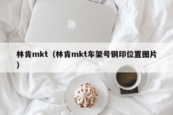 林肯mkt（林肯mkt车架号钢印位置图片）