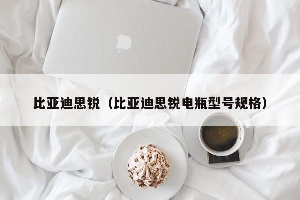 比亚迪思锐（比亚迪思锐电瓶型号规格）