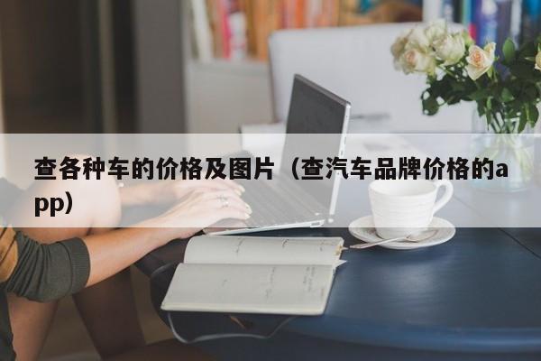 查各种车的价格及图片（查汽车品牌价格的app）