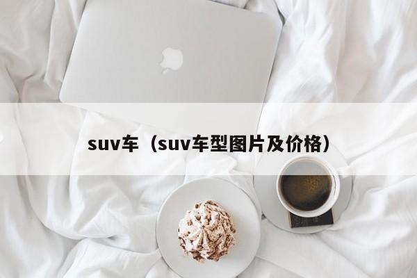 suv车（suv车型图片及价格）