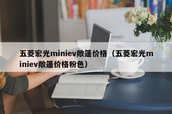 五菱宏光miniev敞篷价格（五菱宏光miniev敞篷价格粉色）